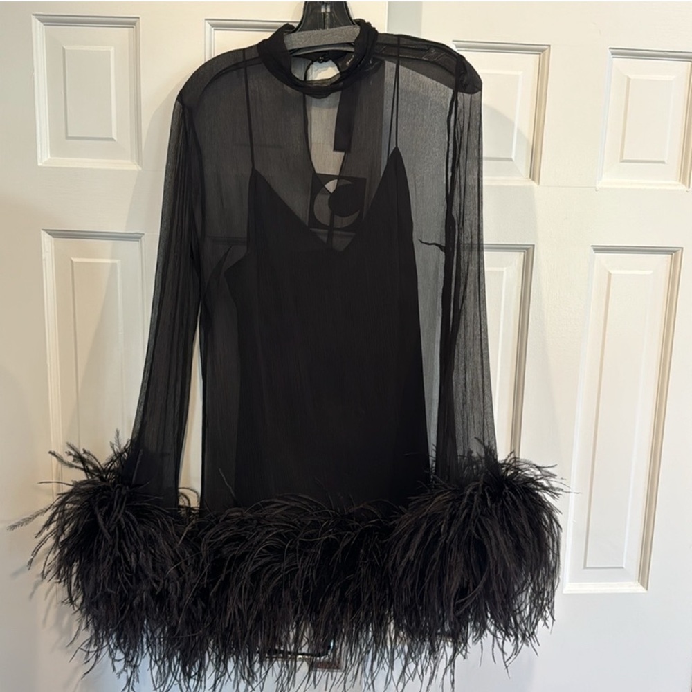 Taller Marmo Gina Black Sheer Feather Trim Mini Dress - Picture 4 of 9